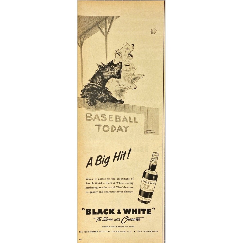 Black & White Scotch ""A Big Hit!" Dogs catching ball Vintage Print Ad 1957